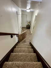 Stairway featuring a textured ceiling and carpet