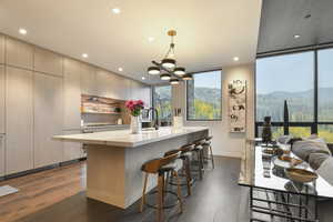 Kitchen with a center island with sink, a mountain view, pendant lighting, and dark hardwood / wood-style flooring