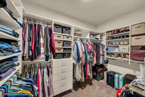 Spacious closet featuring carpet floors