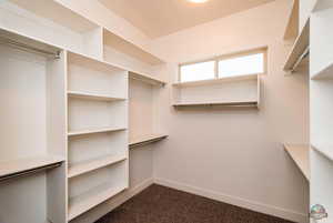 Spacious closet featuring dark carpet