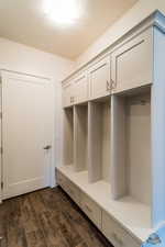 Mudroom with dark hardwood / wood-style floors