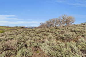 View of landscape featuring a rural view