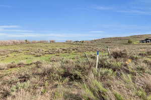 View of local wilderness featuring a rural view