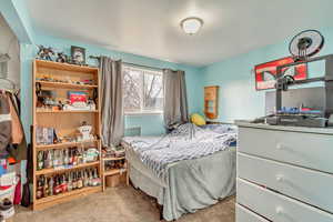 Bedroom with light carpet