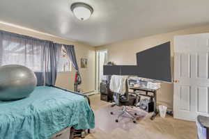 Bedroom featuring a baseboard radiator and light colored carpet