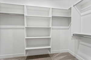 Walk in closet with carpet