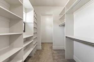 Spacious closet featuring dark colored carpet