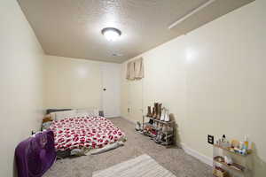 Carpeted bedroom featuring a textured ceiling