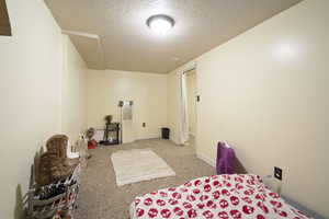 Carpeted bedroom with a textured ceiling