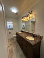 Bathroom featuring backsplash, vanity, toilet, and a wealth of natural light