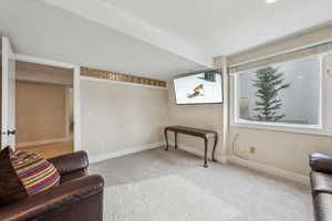 Living area featuring carpet floors