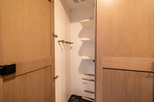 View of spacious closet