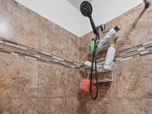 Details with tiled shower / two shower heads