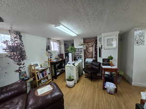 Living room featuring a textured ceiling and light hardwood / wood-style floors