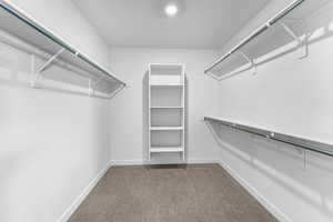 Primary walk-in closet