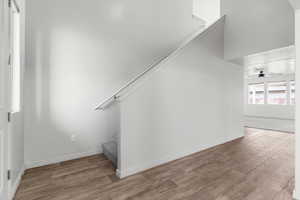 Staircase featuring wood-type flooring and ceiling fan