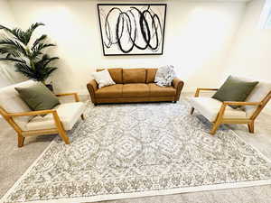 Living room featuring carpet