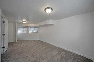 Interior space featuring carpet floors and a textured ceiling