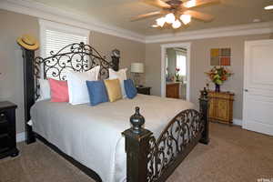 Bedroom with ceiling fan, multiple windows, ornamental molding, and carpet