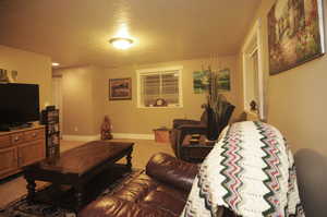 Carpeted living room with a textured ceiling