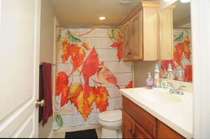 Bathroom featuring a shower with curtain, vanity, and toilet