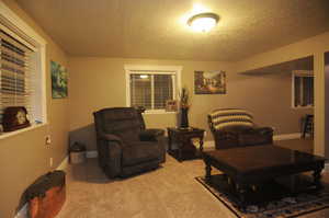 Living room featuring carpet and a textured ceiling