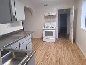 Kitchen with sink, light hardwood / wood-style flooring, gray cabinetry, decorative backsplash, and white gas stove