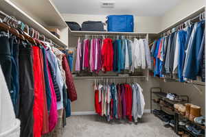 Primary  closet