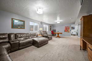 Carpeted living room with a textured ceiling