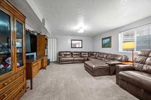 Living room featuring light colored carpet and a textured ceiling