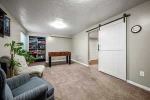 Living area with a barn door, light carpet, and a textured ceiling