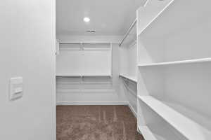 Spacious closet with dark carpet