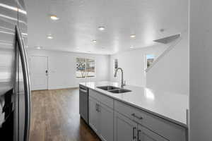 Kitchen featuring sink, gray cabinetry, a textured ceiling, dark hardwood / wood-style floors, and stainless steel appliances