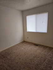 Carpeted spare room with a textured ceiling