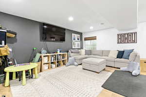 Basement family room