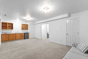 Living room featuring sink, light colored carpet, and a textured ceiling