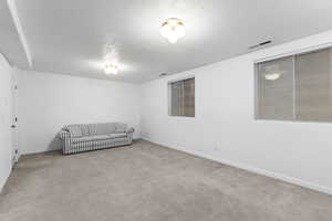 Interior space featuring light carpet and a textured ceiling