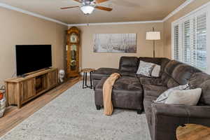 Living room featuring crown molding, ceiling fan, and light hardwood / wood-style floors