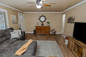 Living room featuring crown molding, dark wood-type flooring, and ceiling fan