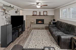 Living room with a fireplace, light hardwood / wood-style flooring, ornamental molding, and ceiling fan