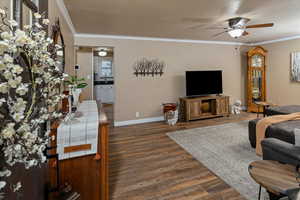 Living room with ceiling fan, ornamental molding, and dark hardwood / wood-style flooring