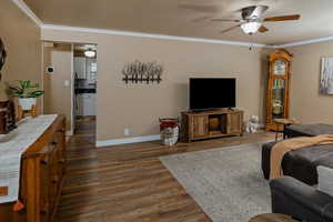 Living room featuring crown molding, dark wood-type flooring, and ceiling fan