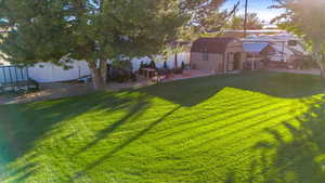 View of yard with a patio area and a shed