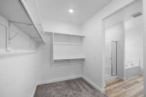 Spacious closet featuring hardwood / wood-style floors