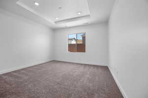 Spare room featuring a raised ceiling and carpet flooring