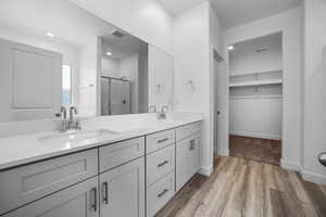 Bathroom with vanity, hardwood / wood-style floors, and walk in shower