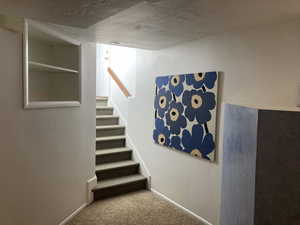 Stairway to basement living quarters