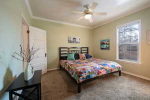 Natural light bedroom, crown molding,, ceiling fan, carpet flooring.