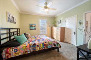 Carpeted bedroom with crown molding and ceiling fan.