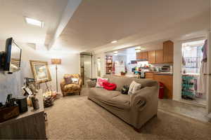 Basement living room, carpet flooring.